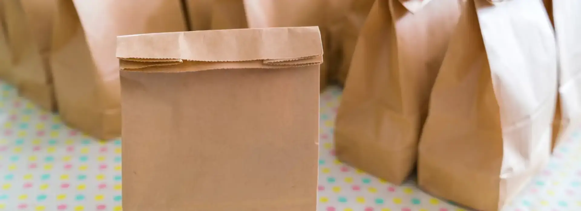 Venta de Bolsas Kraft Venta de Bolsas Kraft